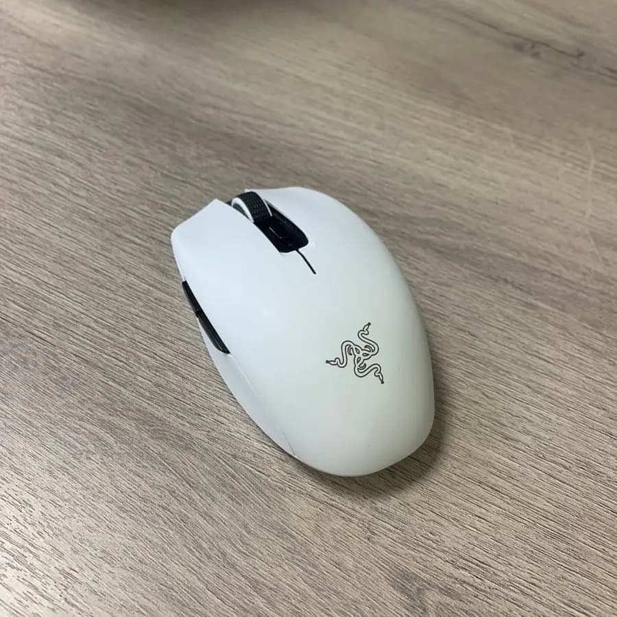 AI Input Image